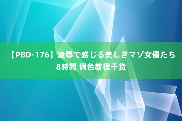 【PBD-176】凌辱で感じる美しきマゾ女優たち8時間 调色教程干货