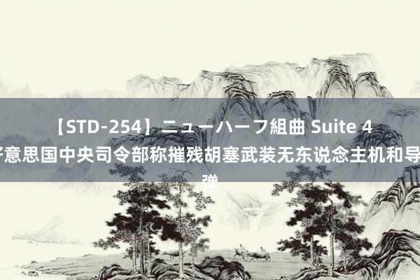 【STD-254】ニューハーフ組曲 Suite 4 好意思国中央司令部称摧残胡塞武装无东说念主机和导弹