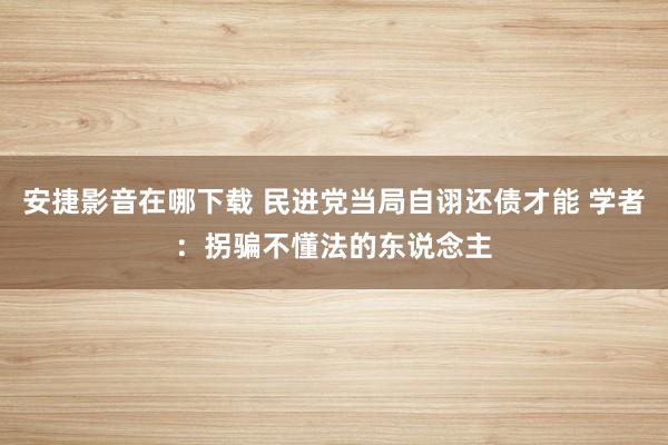 安捷影音在哪下载 民进党当局自诩还债才能 学者：拐骗不懂法的东说念主