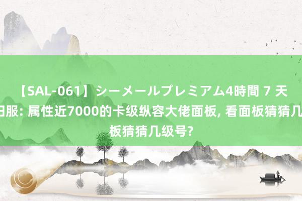 【SAL-061】シーメールプレミアム4時間 7 天龙怀旧服: 属性近7000的卡级纵容大佬面板, 看面板猜猜几级号?