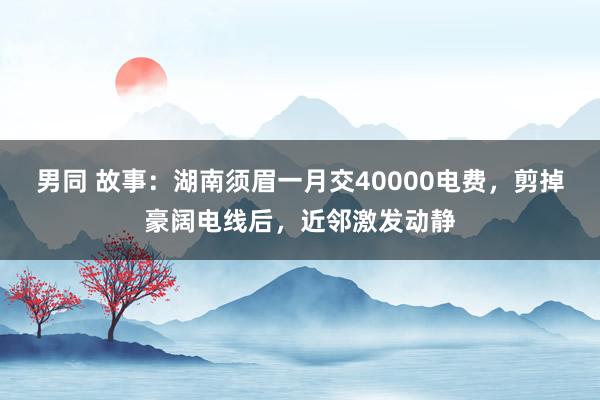 男同 故事：湖南须眉一月交40000电费，剪掉豪阔电线后，近邻激发动静