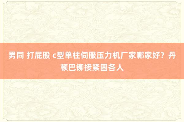 男同 打屁股 c型单柱伺服压力机厂家哪家好？丹顿巴铆接紧固各人