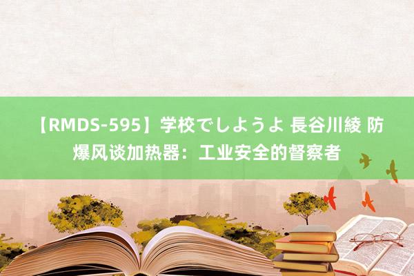 【RMDS-595】学校でしようよ 長谷川綾 防爆风谈加热器：工业安全的督察者