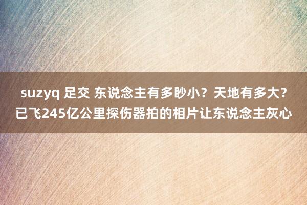 suzyq 足交 东说念主有多眇小？天地有多大？已飞245亿公里探伤器拍的相片让东说念主灰心