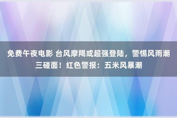 免费午夜电影 台风摩羯或超强登陆，警惕风雨潮三碰面！红色警报：五米风暴潮