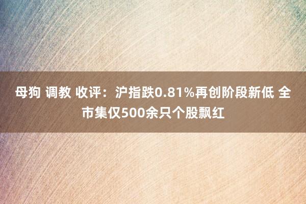 母狗 调教 收评：沪指跌0.81%再创阶段新低 全市集仅500余只个股飘红