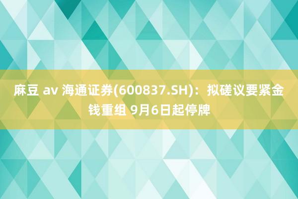 麻豆 av 海通证券(600837.SH)：拟磋议要紧金钱重组 9月6日起停牌