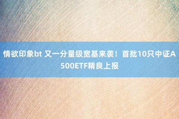 情欲印象bt 又一分量级宽基来袭！首批10只中证A500ETF精良上报