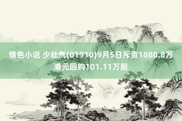 情色小说 少壮气(01910)9月5日斥资1880.8万港元回购101.11万股