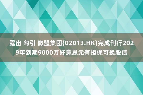 露出 勾引 微盟集团(02013.HK)完成刊行2029年到期9000万好意思元有担保可换股债