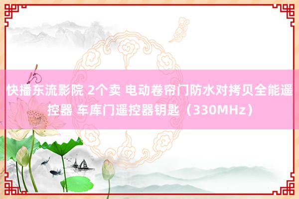 快播东流影院 2个卖 电动卷帘门防水对拷贝全能遥控器 车库门遥控器钥匙（330MHz）