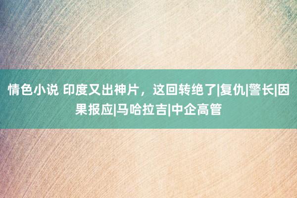 情色小说 印度又出神片，这回转绝了|复仇|警长|因果报应|马哈拉吉|中企高管