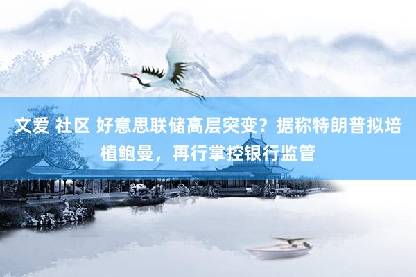 文爱 社区 好意思联储高层突变？据称特朗普拟培植鲍曼，再行掌控银行监管