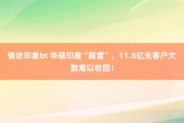 情欲印象bt 华硕印度“踩雷”，11.8亿元客户欠款难以收回！
