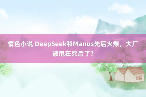 情色小说 DeepSeek和Manus先后火爆，大厂被甩在死后了？